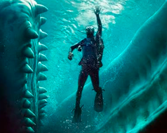Cartaz do filme Dentro da Baleia