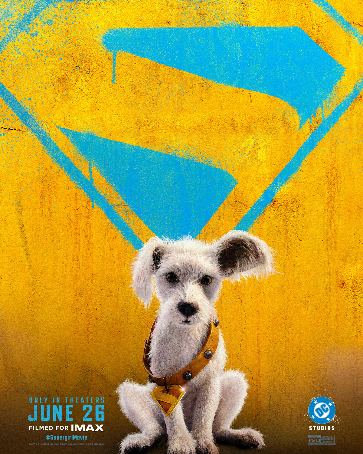 Cartaz Oficial Krypto